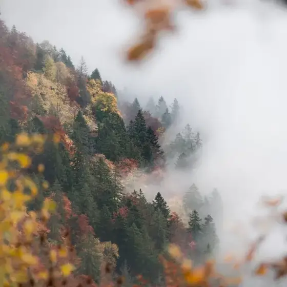 NWPT · Naturfotografie