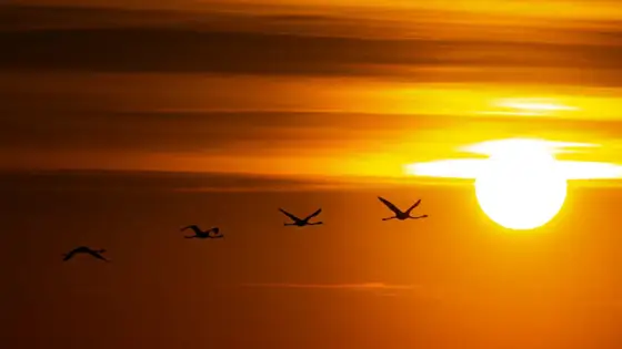 NWPT · Naturfotografie